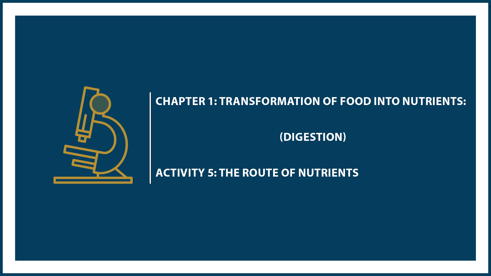 Chapter 1: Digestion - Activity 5: The Route of Nutrients